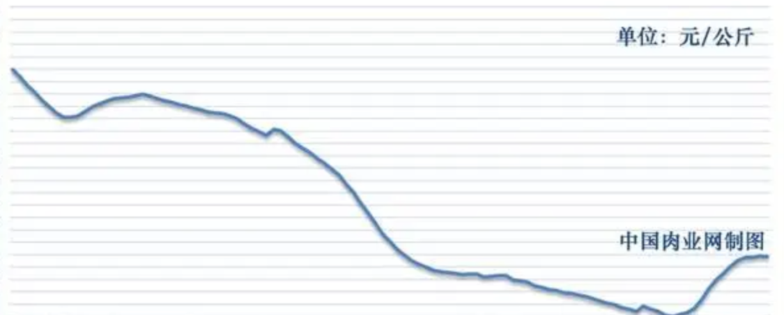九游官网入口-羊肉“崩”了！2月4日跌破11元，卖羊还是留着过年？答案来了